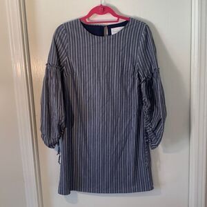 Chandler Henry EUC blue/white pin striped long sleeve shift dress Size Small